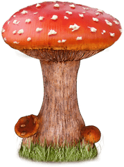 Download Mushroom Png File - Mushroom Png