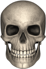 Calavera Png 4 Image - Skull Clipart Transparent Background