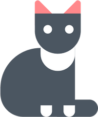 Cat Halloween Kitty Icon - Witch Png