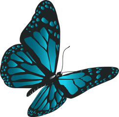 Blue Butterfly Png Clip Art Butterflies