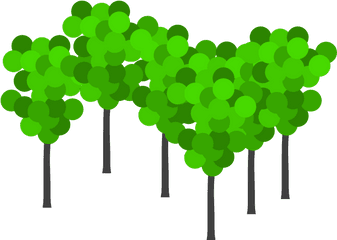 Download 6 Trees Clip Art - Clipart Bunch Of Trees Png