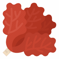 Precious Coral Red Free Clipart HD - Free PNG