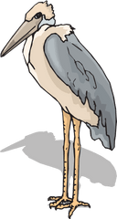 Marabou Stork Png Svg Clip Art For Web - Stork