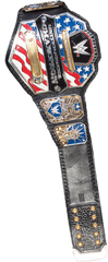 Download United States Championship Png - United States Championship Png