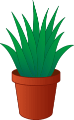 Aloe Drawing Green Plant Transparent - Transparent Background Plant Png Clipart