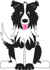 Bordercollie - Black And White Dog Clipart Png