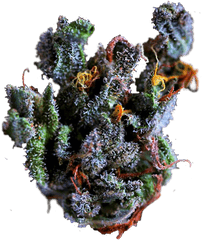 Marijuana Strain Tumblr - Purple Weed Transparent Background Png