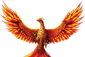 Phoenix Png 3 Image