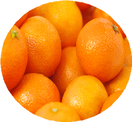 Valencia Oranges - Mandarin Orange Png