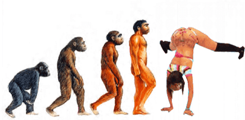 Transparent Smoke Weed Twerking Sticker Bored Drugs Funny Edit Meow Gif - Evolution Of Man Gif Png