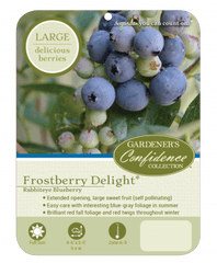 Frostberry Delight - Fresh Png