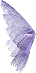 Realistic Fairy Wings Png Picture - Transparent Background Fairy Wings Transparent