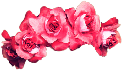Transparent Red Flower Crown - Png