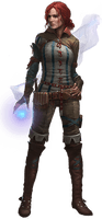 The Witcher Transparent Picture - Free PNG