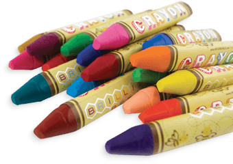 Download Natural Beeswax Crayons Ooly - Crayon Png