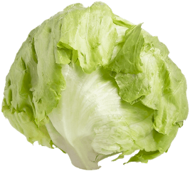 Iceberg Lettuce Png 4 Image - Iceberg Lettuce Transparent