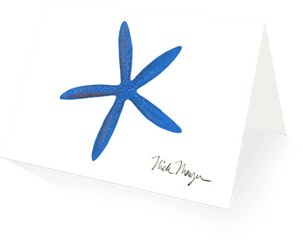 Blue Linckia Starfish Boxed Cards - Starfish Png