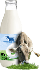 Download Studies Have Linked The Consumption Of Milk - Milk Png With Cow