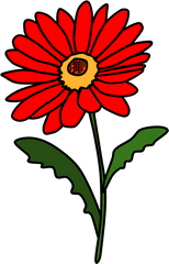 Daisies - Red Daisy Flower Clipart Png