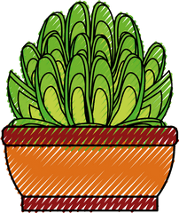 Succulent Clipart - Clipartworld Decorative Png