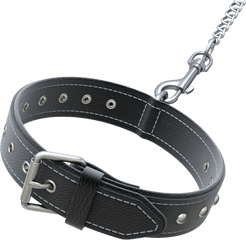 Dog Collar Png - Dog Collar 3d Model