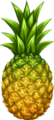 Library Of Pineappe Graphic Transparent - Pineapple Png High Quality