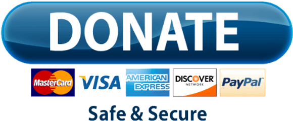 Paypal Donate Button Transparent Png Mart - Paypal Donate Button Png