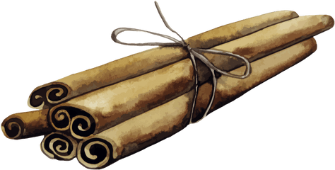 The Other Ones Tummydrops - Watercolor Cinnamon Stick Png