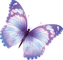 Butterfly Png 3