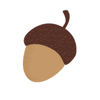 Acorn Download HD - Free PNG