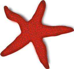 Free Download Png Starfish Images - Clip Art Sea Star