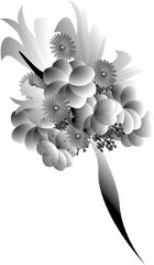 Bouquet Black White - Side Flower Bokeh Png