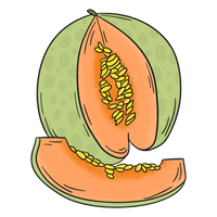 Photos Cantaloupe Green HD Image Free - Free PNG