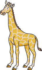 Giraffe Animal Clipart - Giraffe Png