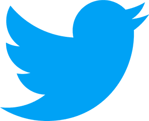 Twitter Logo And Symbol Meaning - Twitter Logo Png