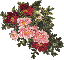 Flower S - Vintage Flowers Png