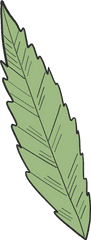 Marijuana Leaf Clipart Free Download Creazilla - Slippery Elm Png