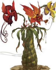 Tri - Flower Frond Forgotten Realms Wiki 2721127 Png Tri Flower Frond