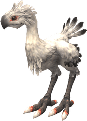 White Chocobo Ff7 - Final Fantasy Black Chocobo Png