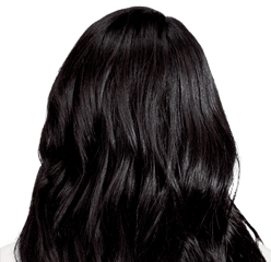 Perugia Black - Sapphire Black Hair Color With Hints Of Blue Color For Black Hair Png