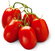 Tomato Png Image Picture Download