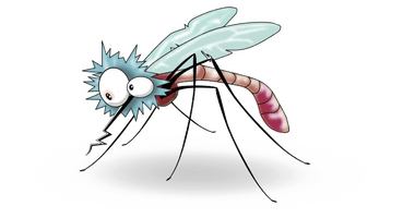 Mosquito Free HD Image - Free PNG