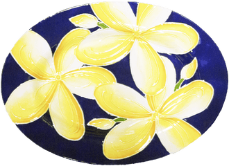 Frangipani Transparent Cartoon - Jingfm Decorative Png