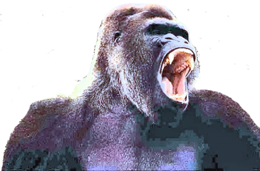 The Gorilla Online Story Bank - Gorilla Roar Png