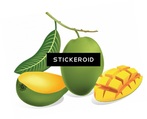 Download Green Mango - Green Mango Png Png Image With No Mango Fruit Drawing