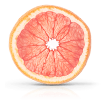 Grapefruit Half Free Clipart HD - Free PNG