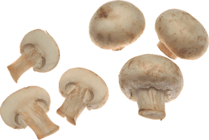 White Mushrooms Png Image