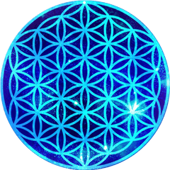 Life - Golden Flower Of Life Logo Png