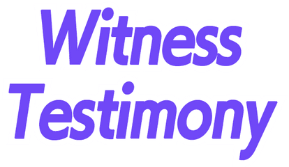 The First Turnabout - Case File Summary U0026 Detailed Analysis Witness Testimony Phoenix Wright Png