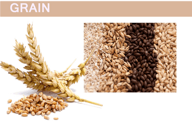 Grain Png Pic - All Grain Png